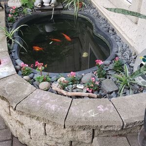 Meet your Posher, Georgina